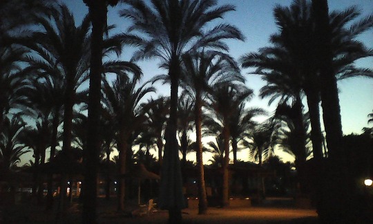 Фото красочного заката над пляжем Шарм Эль Шейха