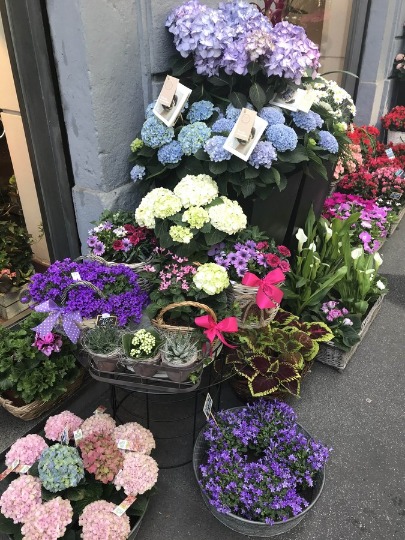 Фото цветочного магазина в Милане