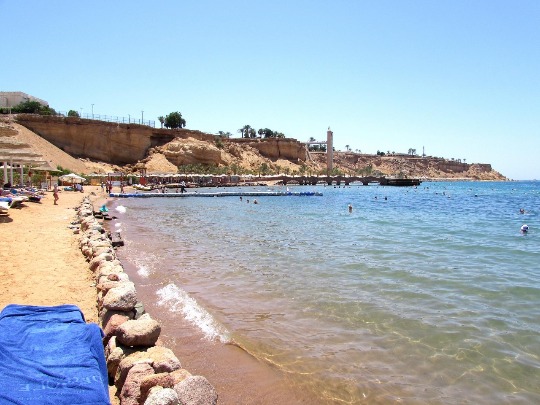 Фото отельного пляжа в Шарм Эль Шейхе