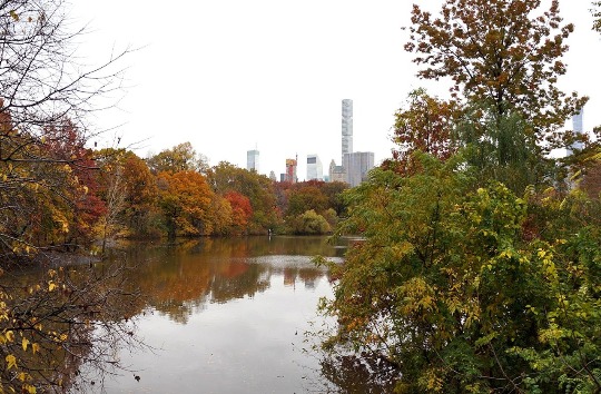 Фото центрального парка Нью-Йорка осенью