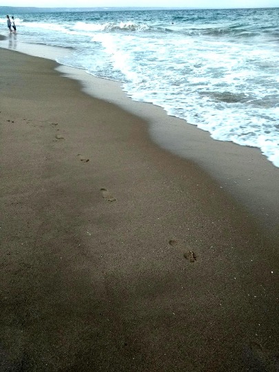 Фото песчанного пляжа в Солнечном береге Болгарии