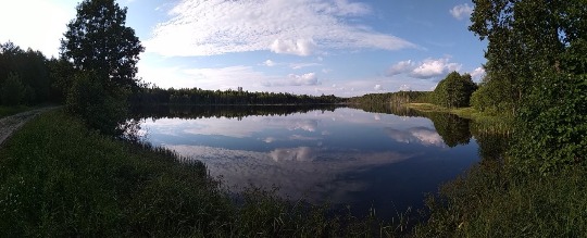 Панорамное фото озера в Нижегородской области