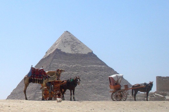 Фотография египетского пейзажа в Каире