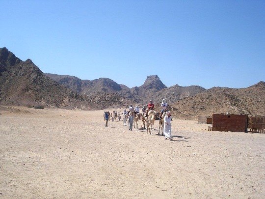 Фото прогулки вверхом на верблюдах