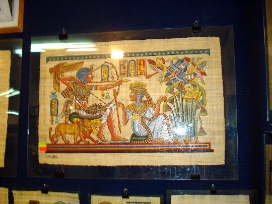 Фото египетского папируса в Каире