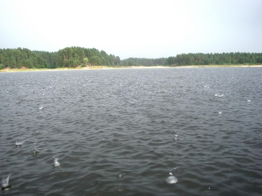 Фото дождя на озере Унзово в Нижегородской области