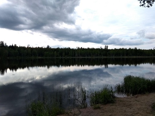 Фото зеркальной глади воды озера Унзово в НИжегородской области