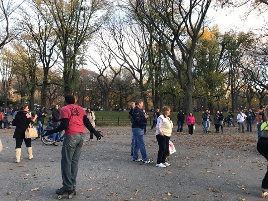 Фотография отдыхающих жителей Нью-Йорка в центральном парке