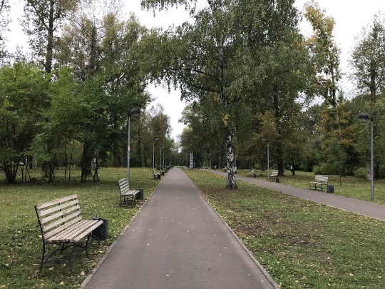 Фото в городском парке в Казани
