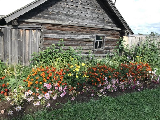 Фотография деревенского дома в Козьмодемьянске