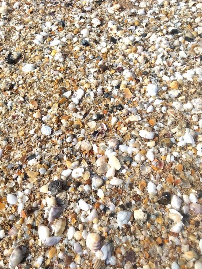 Фото песка с мелкими ракушками на пляже в Анапе