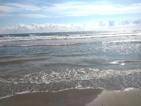 Фото солнечного пляжа Анапы