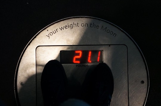 Узнай свой вес на Луне