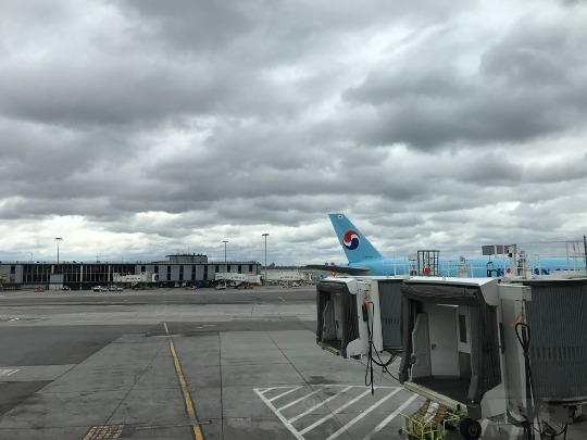 Фотография американского аэропорта при отправлении домой
