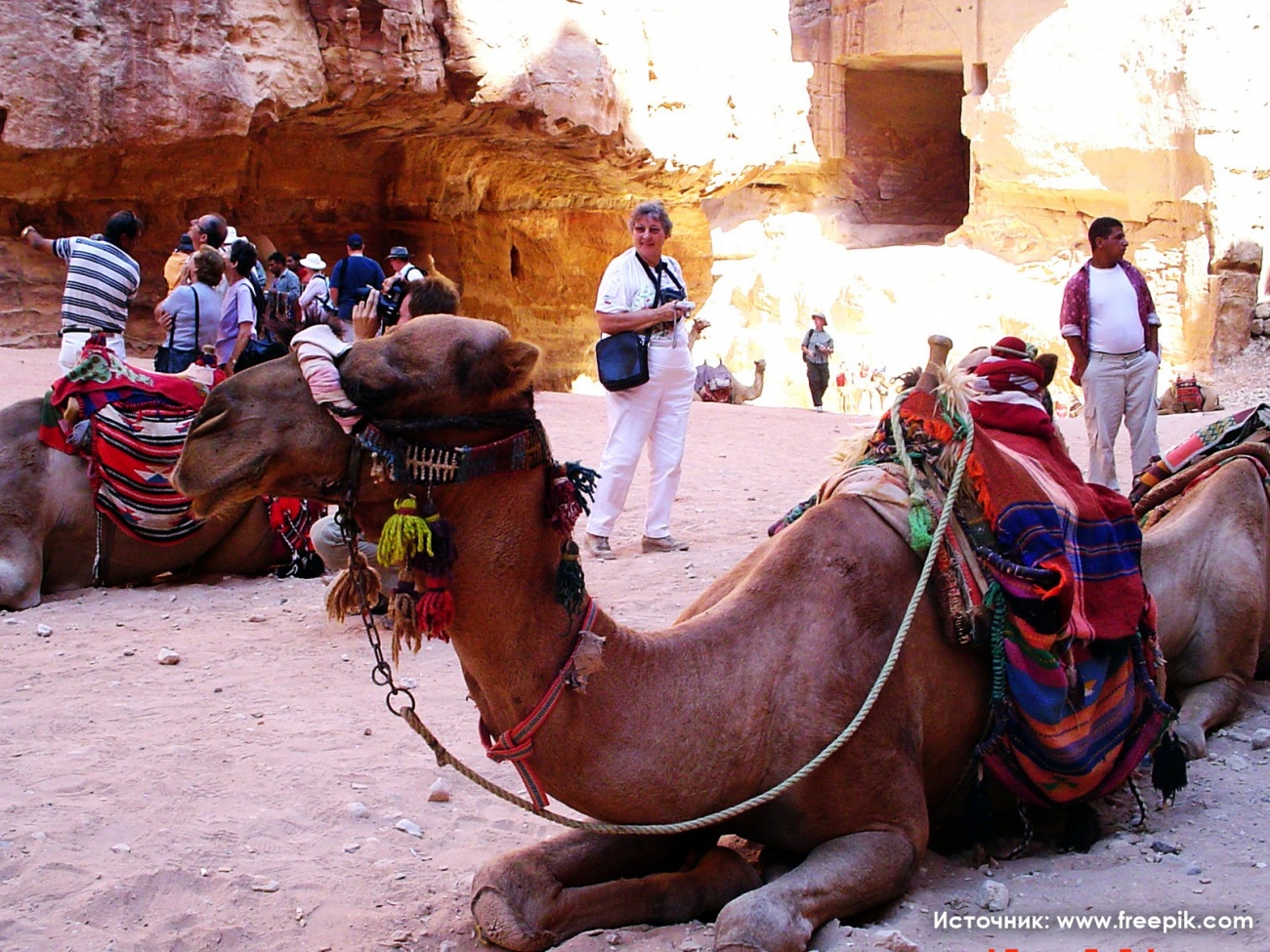 Хотите поехать в загадочную Иорданию на отдых на Красном море?