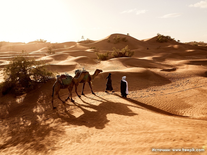 Куда и почему стоит поехать на отдых в Марокко в 2020 году?