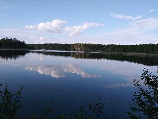 Летняя фотография озера в Нижегородской области