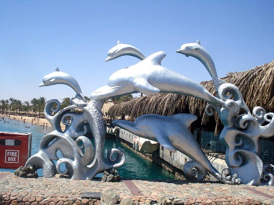 Фото скульптуры дельфинов на берегу Красного моря