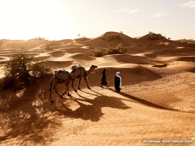 Куда поехать на отдых в Египет в 2021 году?