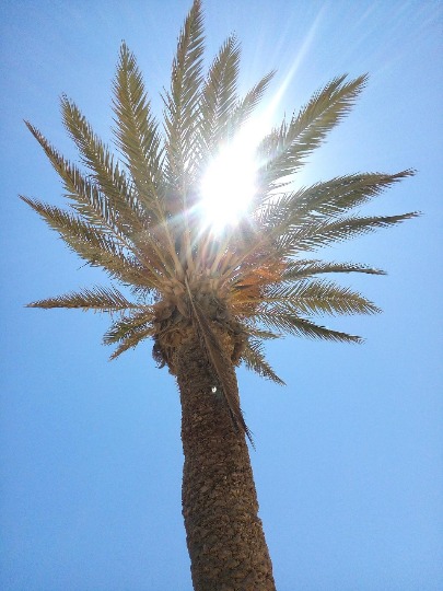 Фото жаркого солнечного дня на пляже в Тунисе