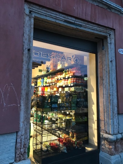 Фотография витрины продуктового магазина в Венеции