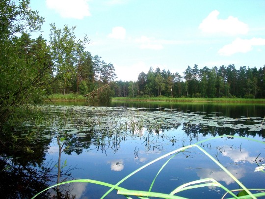 Фотография озера Унзово в карстовом провале в Нижегородской области