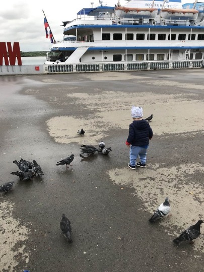 Фотография с кормлением голубей на речном вокзале Перми