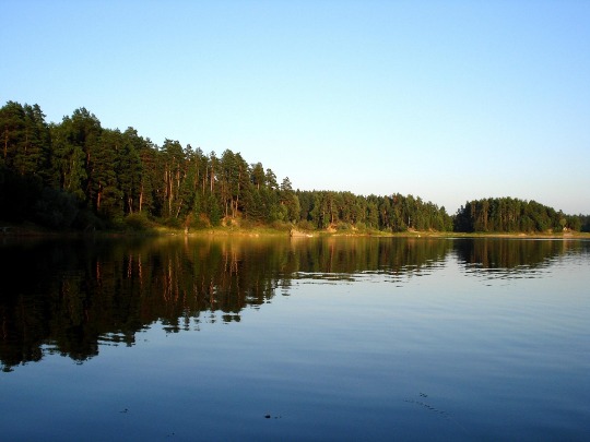 Фото зеркальной воды озера Унзово в Нижегородской области