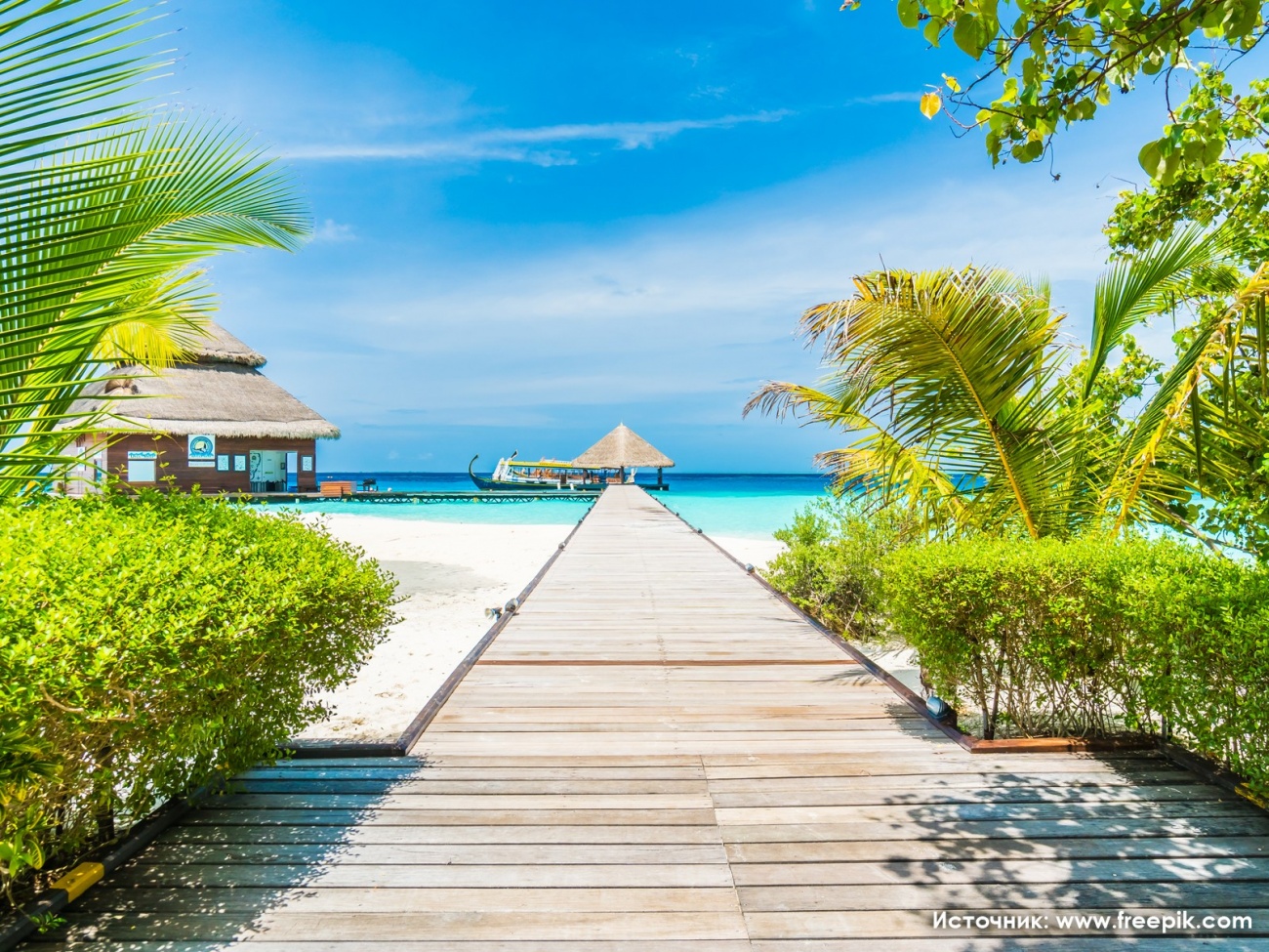 Где отдохнуть на Мальдивах в 2020 году?