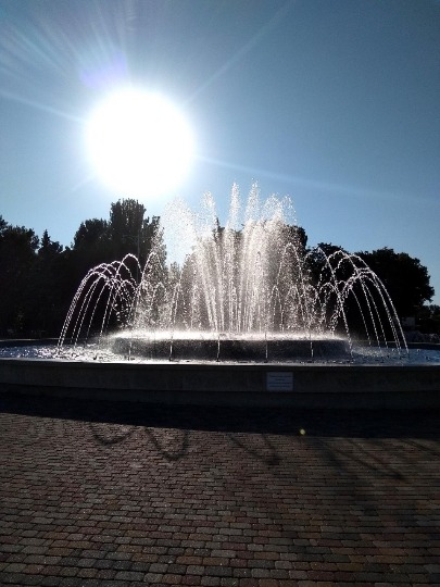 Фото поющего фонтана в парке Анапы