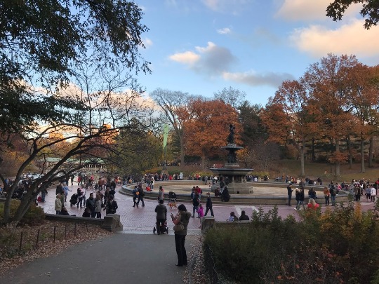 Фотография фонтана в центральном парке Нью-Йорка