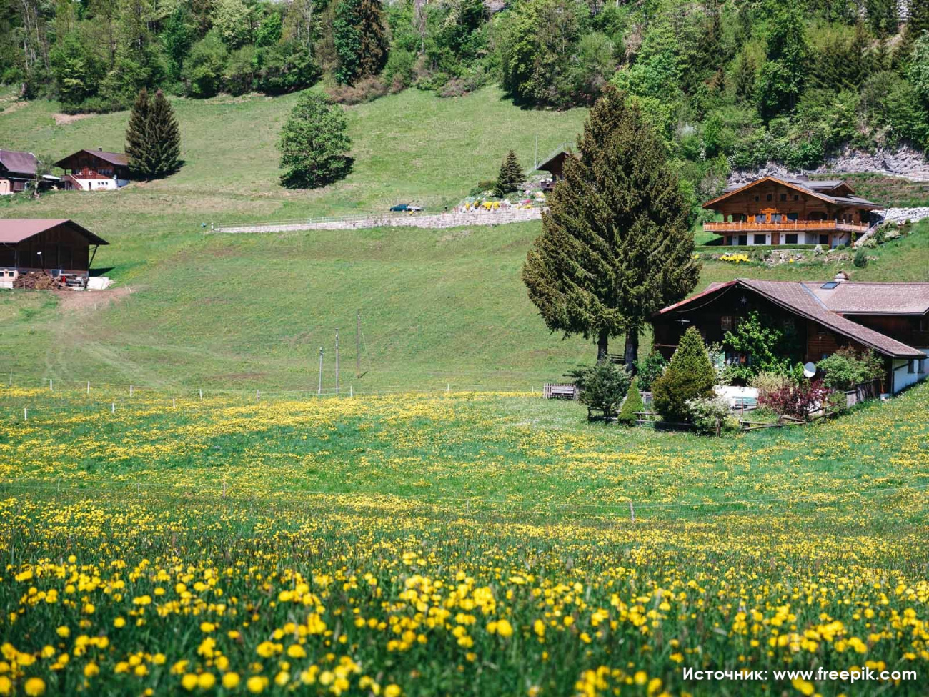 Стоит ли ехать на отдых в Швейцарию в 2021 году?