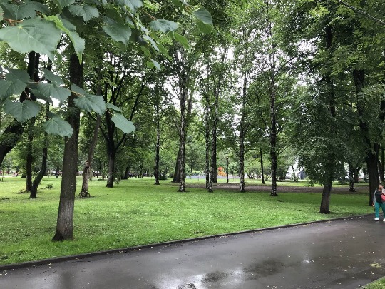 Фотография из городского парка в городе Пермь