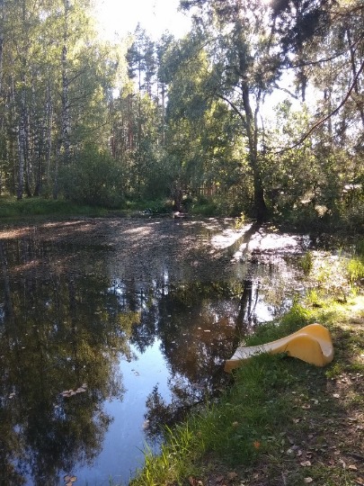 Фото заброшенного деревенского аквапарка в Нижегородской области