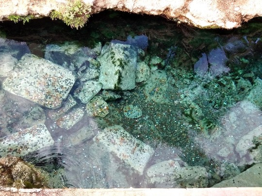 Фото бассейна Клеопатры с монетами в Турции