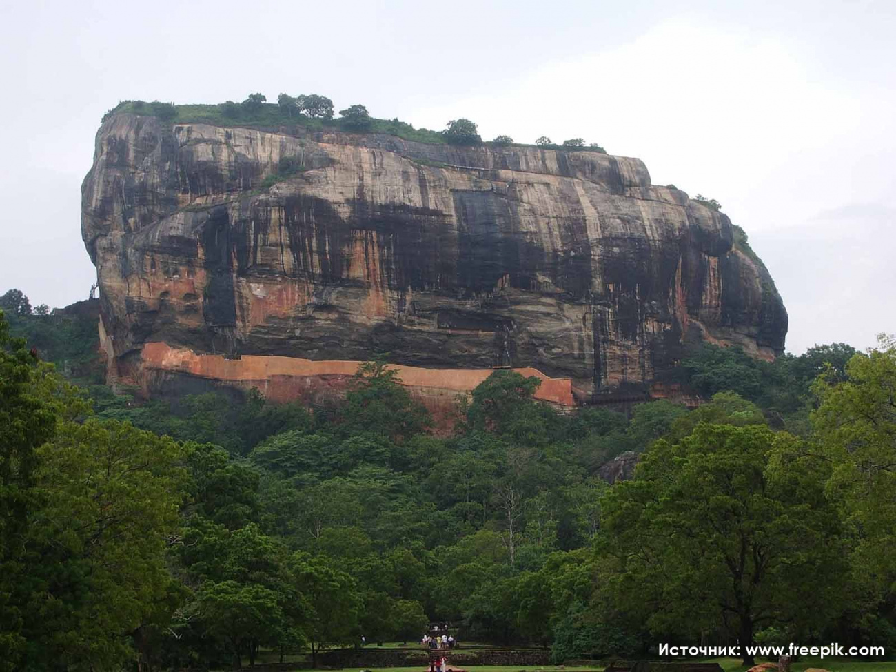 Экзотическая Шри-Ланка - стоит ли ехать на отдых в 2021 году?