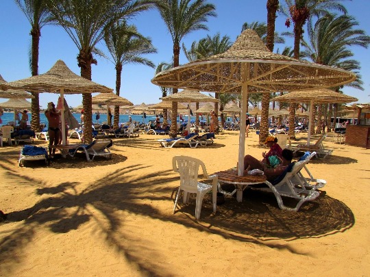 Фотография пляжа египетского отеля Dessole Seti Sharm