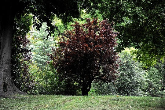 Фото очаровательных общественных садов Индро Монтанелли Милана (3)