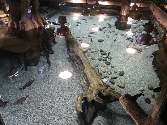 Фотография открытого аквариума в Москве